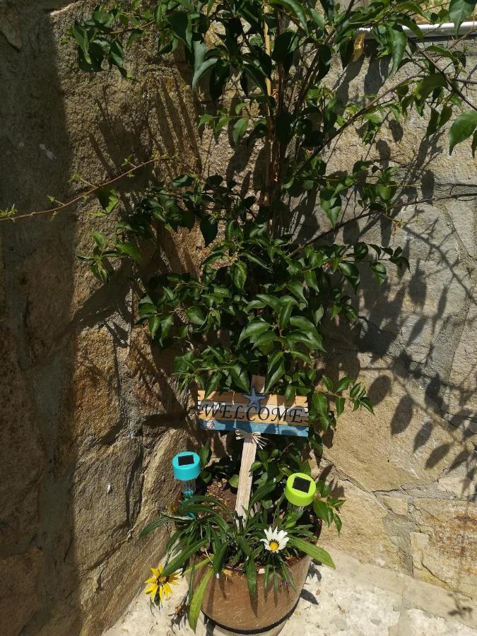 Villa Holly Balchik Esterno foto